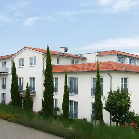 Zielonka 3*